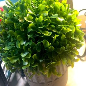 What do you need for a BUNDLE???